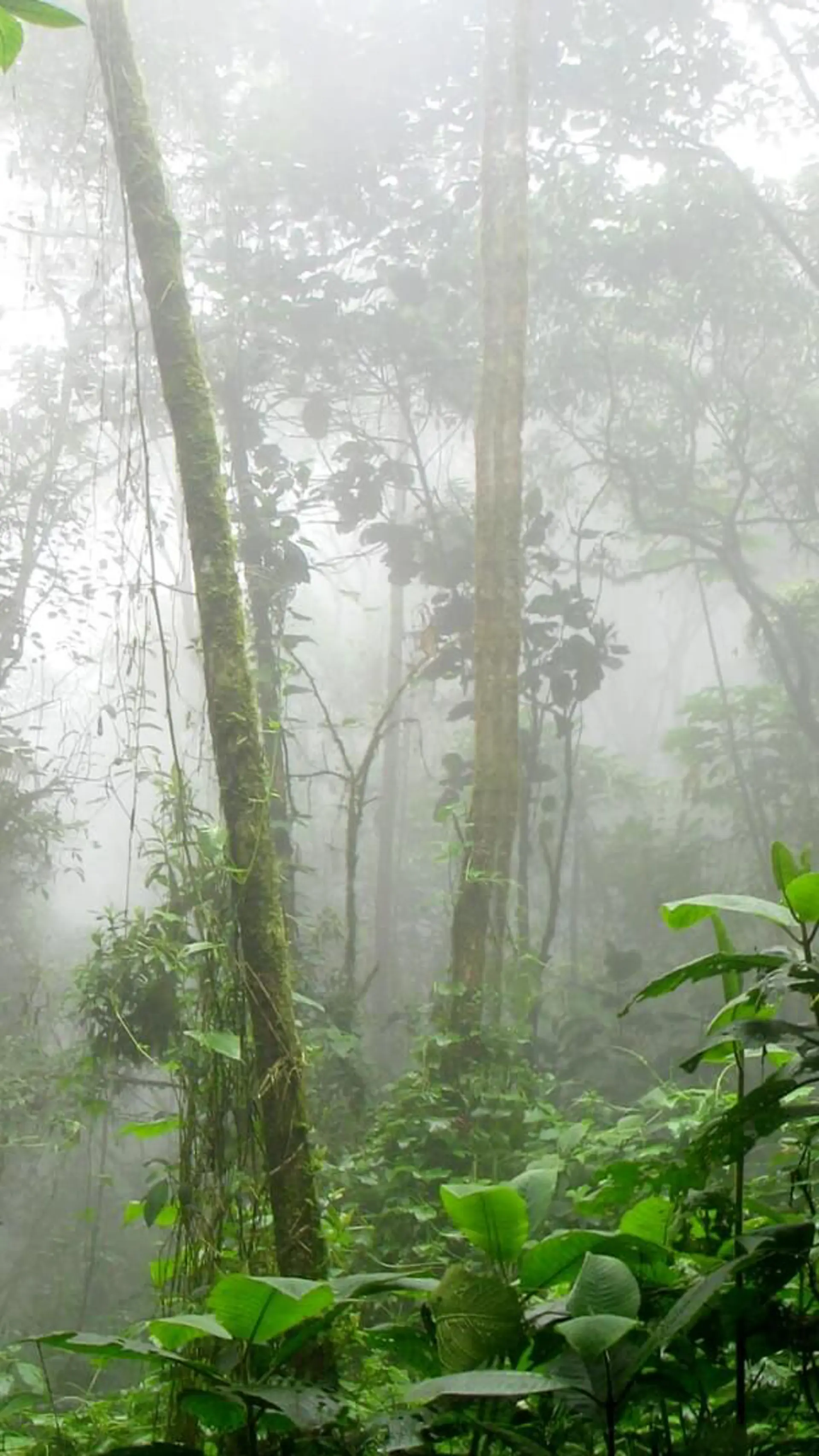 Biodiversitet