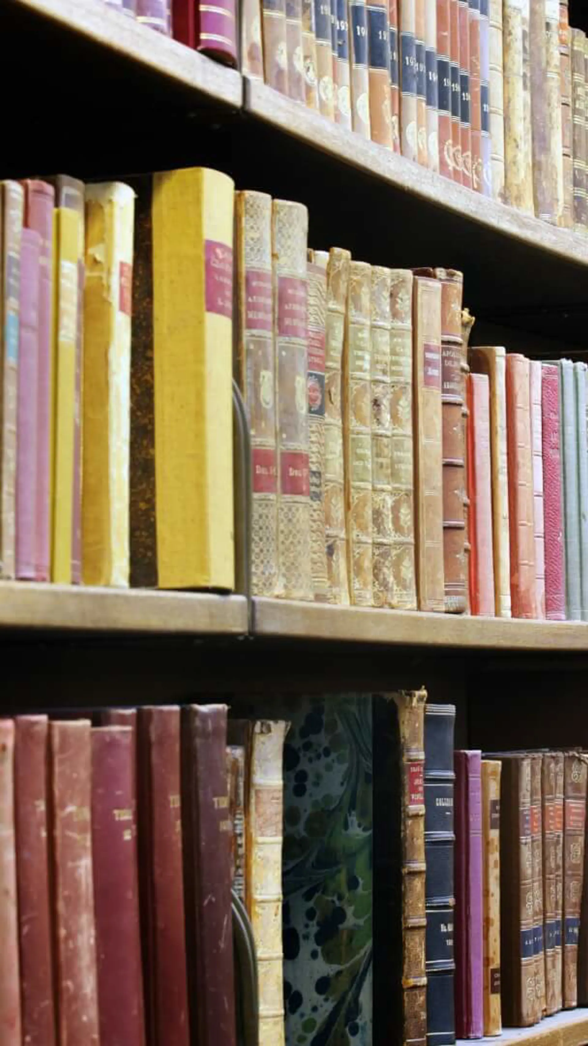 Biblioteksforedrag