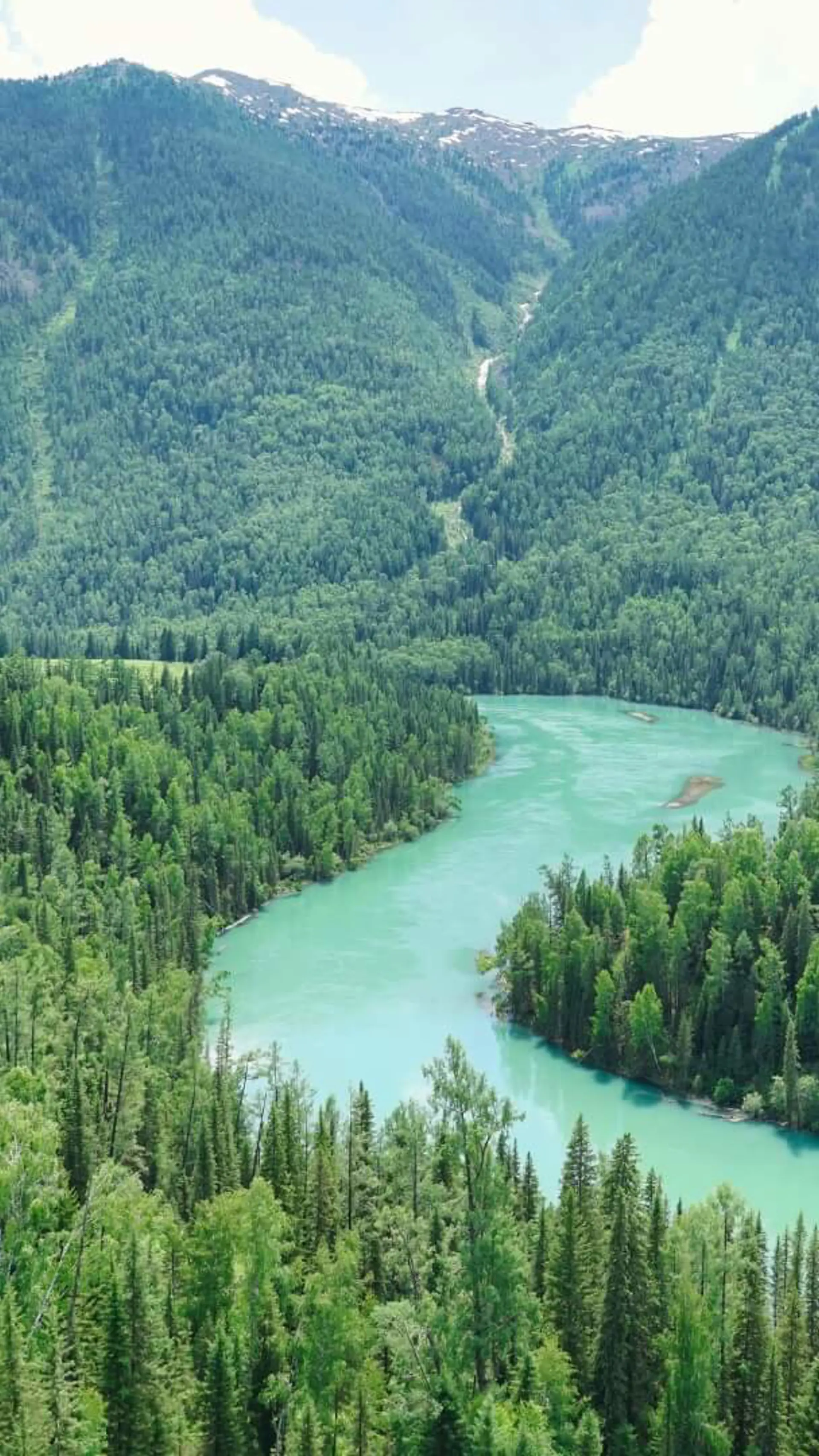 Natur